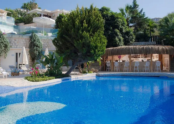 Отель Peninsula Gardens (adults Only)