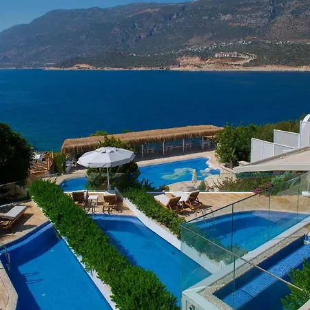 호텔 Peninsula Gardens (adults Only)